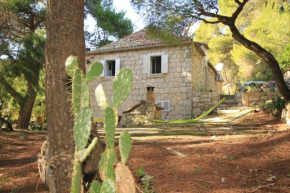 Apartments by the sea Milna, Vis - 8490, Vis